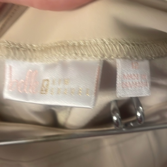 Belle by Kim Gravel Tan ankle pants with Zippers. Size 12. - Picture 8 of 9